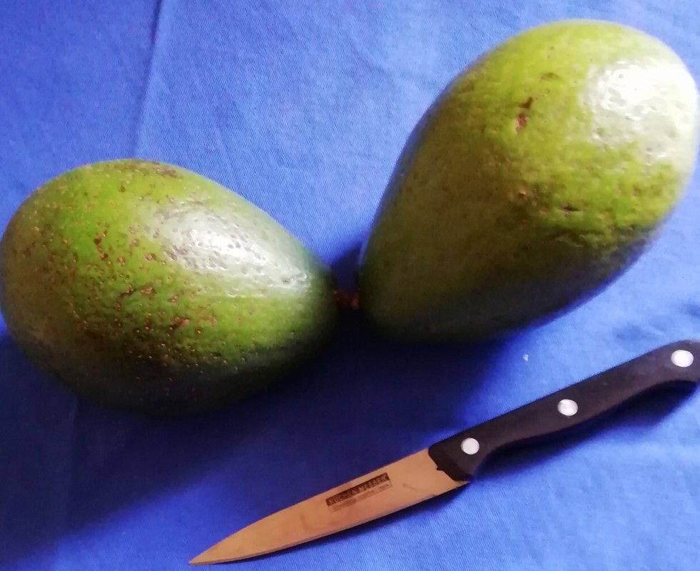 Avocado from Burundi